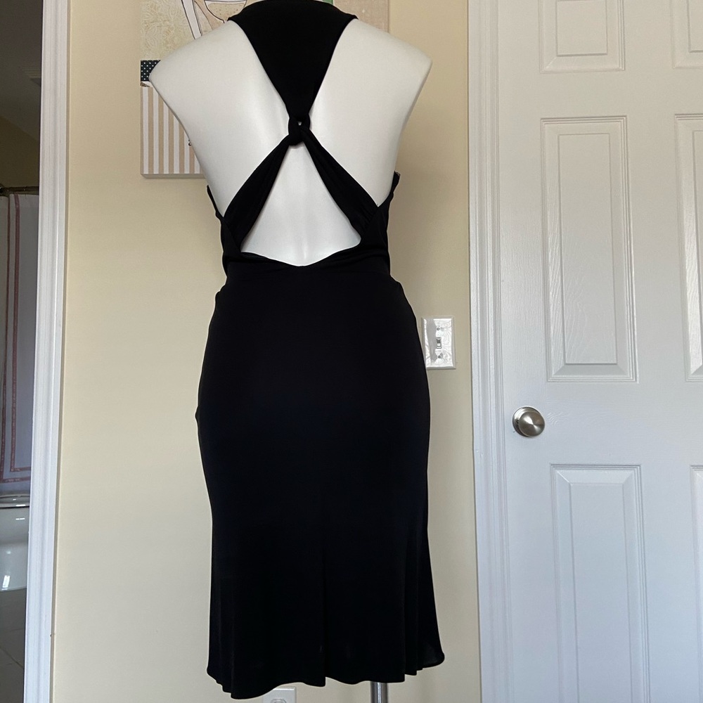 Tiger Queen - image 3